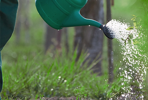 AFC Properties Services