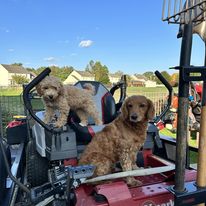 About AFC Properties