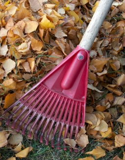 Fall/Spring Clean-Up